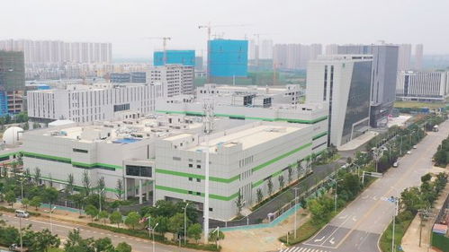 武漢新城 上新 禾元生物智能制造工廠, 稻米造血 進(jìn)入商業(yè)化階段