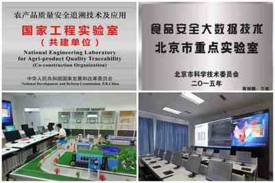 一流專業 | 信息管理與信息系統(智能信息系統與商業大數據管理)