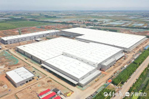 萊西 三個聚焦 推動實事辦好 好事辦實