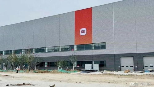 靠生態軟件賺錢的路線,特斯拉沒走通,小米要怎么做