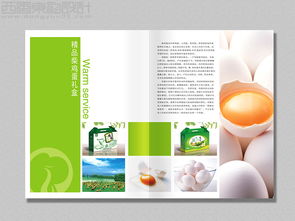 北京金鳳祥云土特農產品標志包裝畫冊全案設計圖片 西風東韻